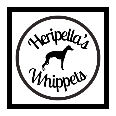 Heripella's Whippets